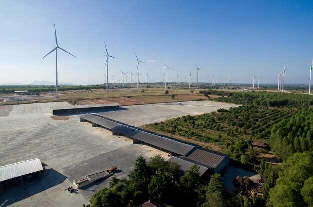 Assessing the Use of Sustainable Materials in Chinese Electric Vehicles