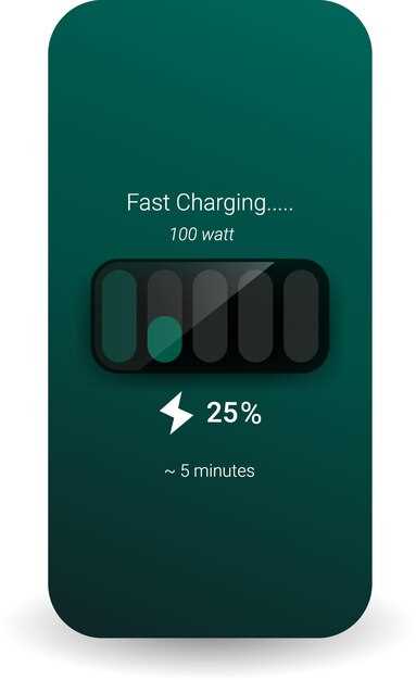 Fast Charging vs Slow Charging: Efficiency Insights