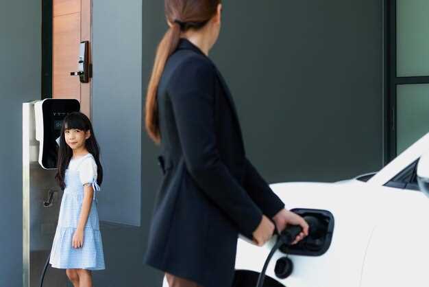 Regulatory Challenges and Opportunities for Chinese EV Exports