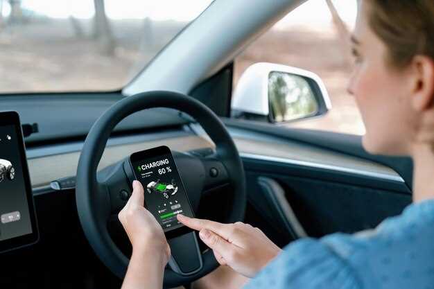 Comparing Touchscreen Interfaces Across Leading Electric Vehicle Brands