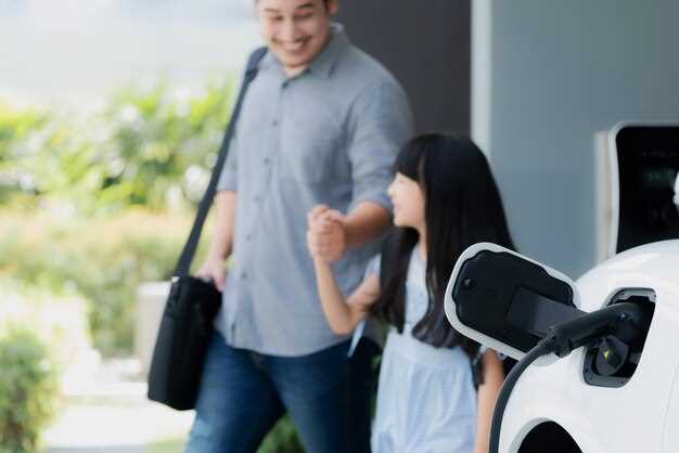 Economies of Scale in the Chinese Electric Vehicle Market