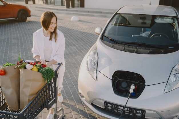 Factors Driving the Rise of Chinese EV Manufacturers